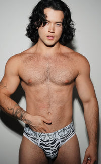 'Heatwave' Zebra Brief - Patrick Church
