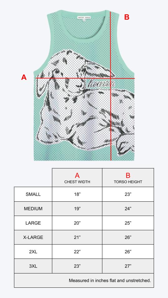 'Lamb' Mesh Tank Top